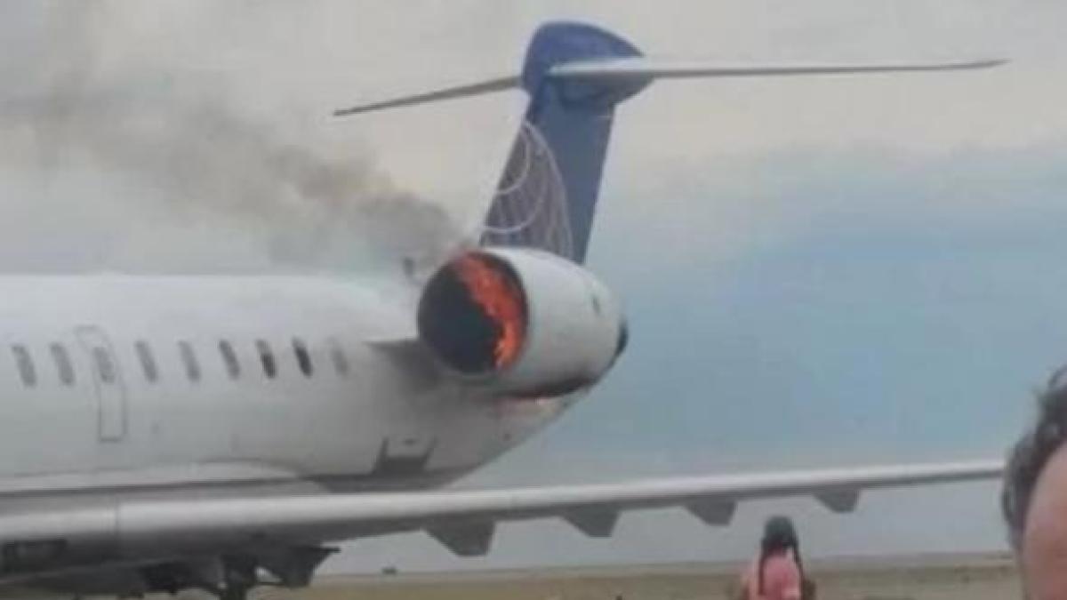 mczoyxnoptlmnmyzywuxzgmwmgu4mjq0mzu1odc3yjcyzdi1ywew_thumb_76178900