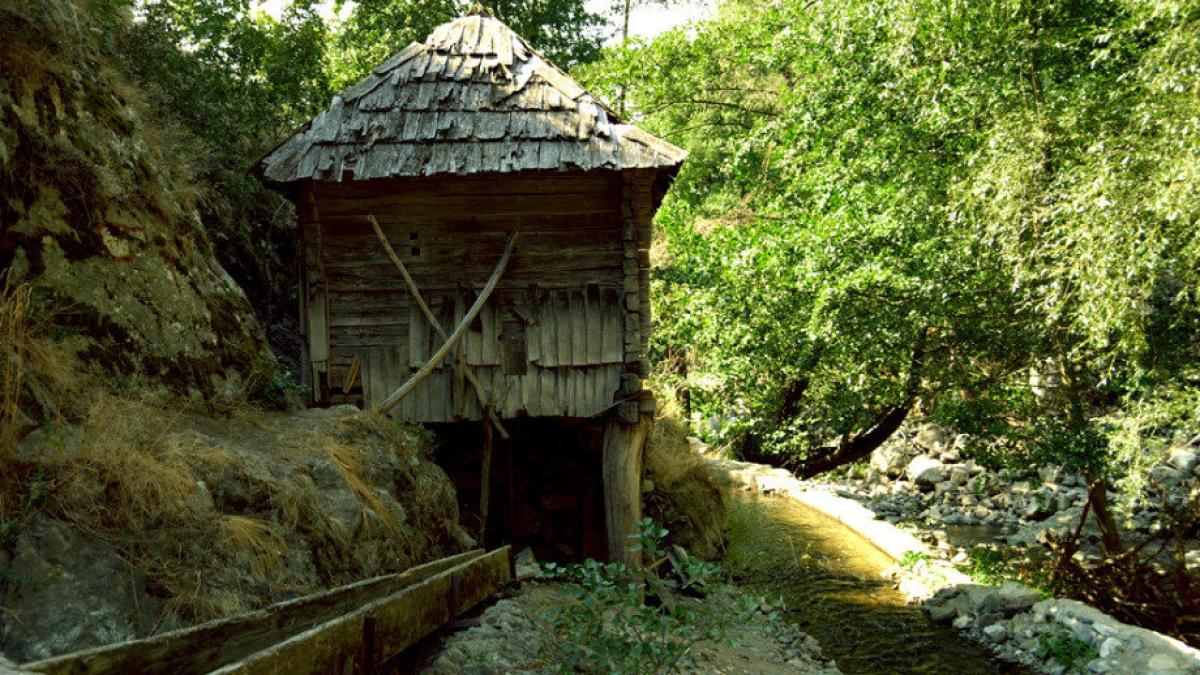 imgp2002_920x609_920x609_15860500