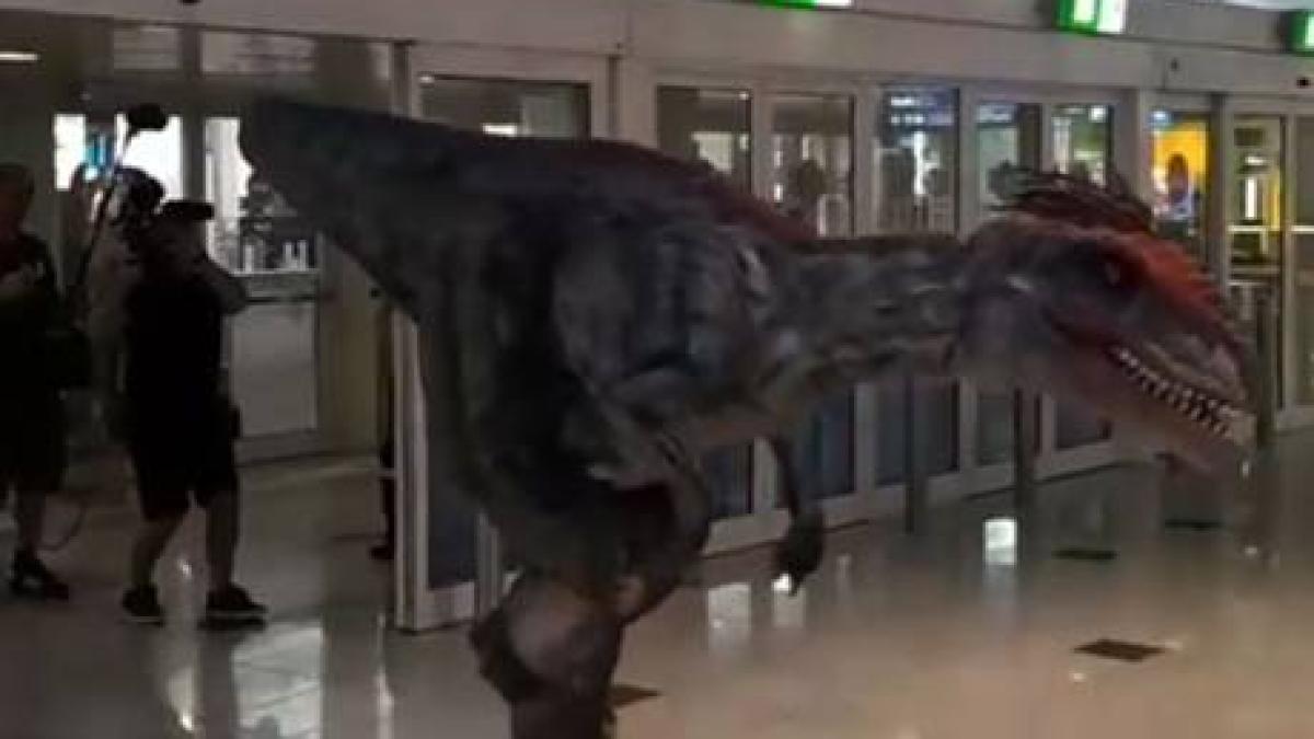 dinozaurii au dat navala pe aeroportul din dubai