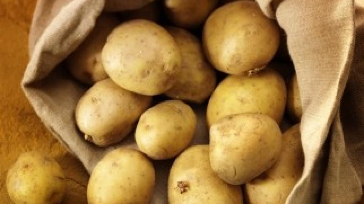 cartofi-shutterstock1