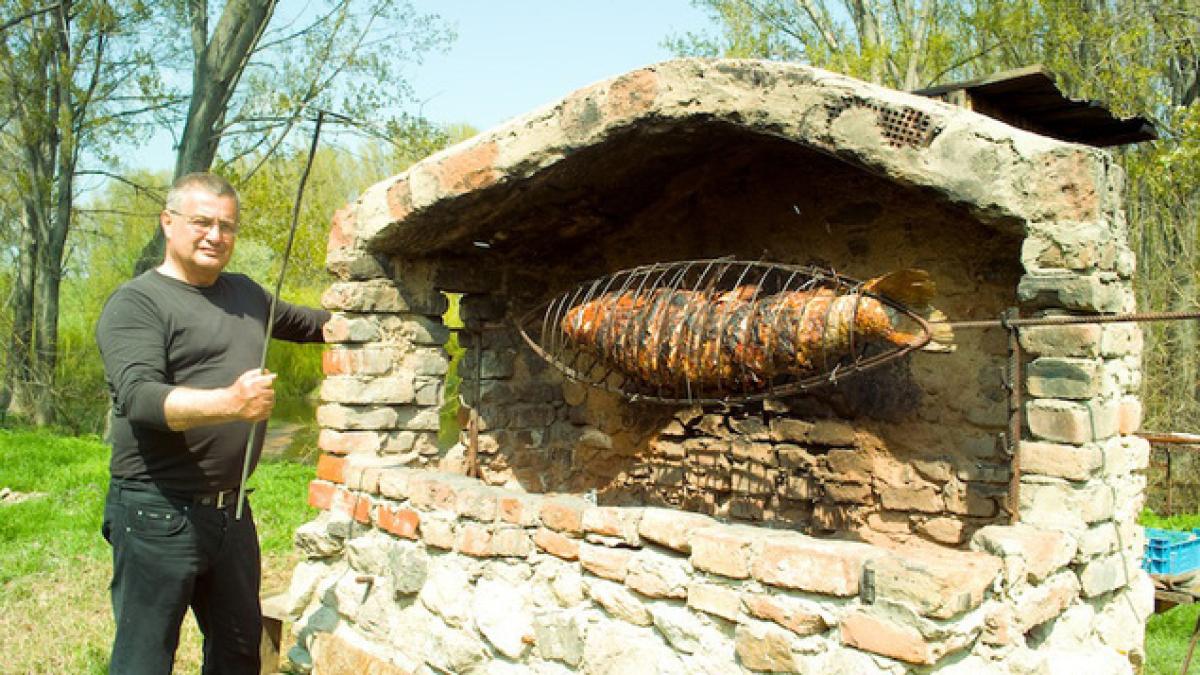 mircea_dinescu_67534900