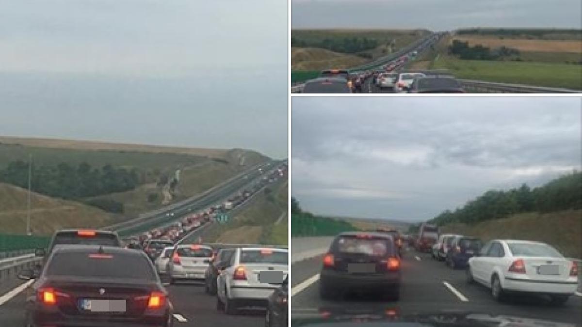 cozi_foto_facebook_alina_gorghiu_28938000