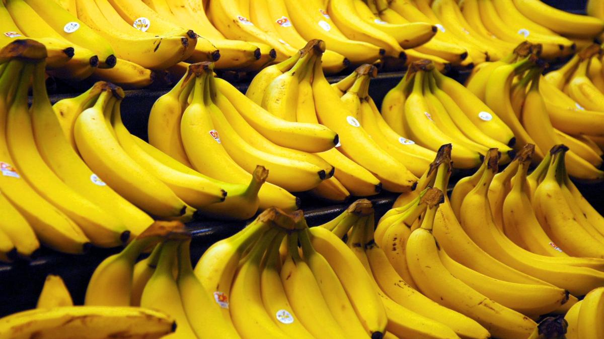 bananas_20974500