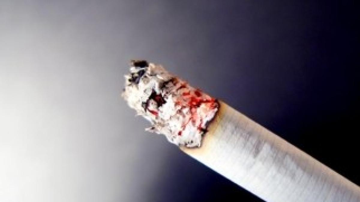 aroma-preparare-tutun-brut-532950