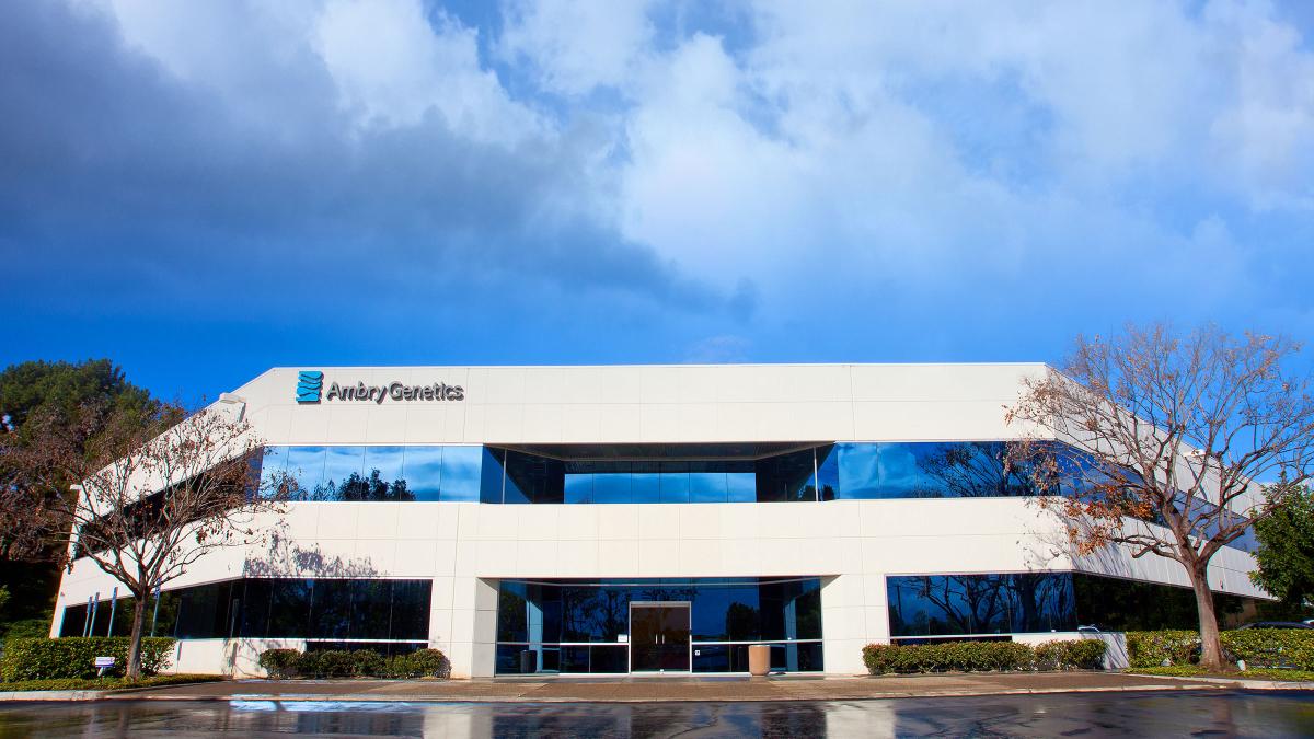 ambry_ext_day_lg_39202100