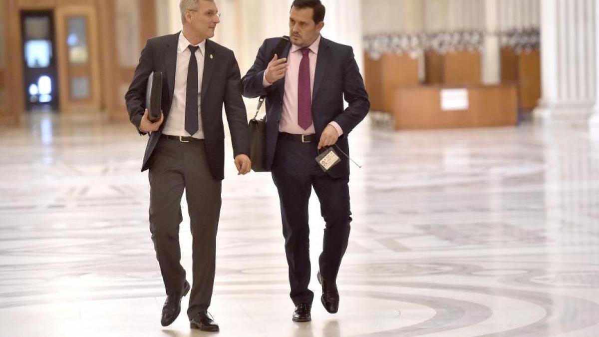 daniel_zamfir_piperea_93636500