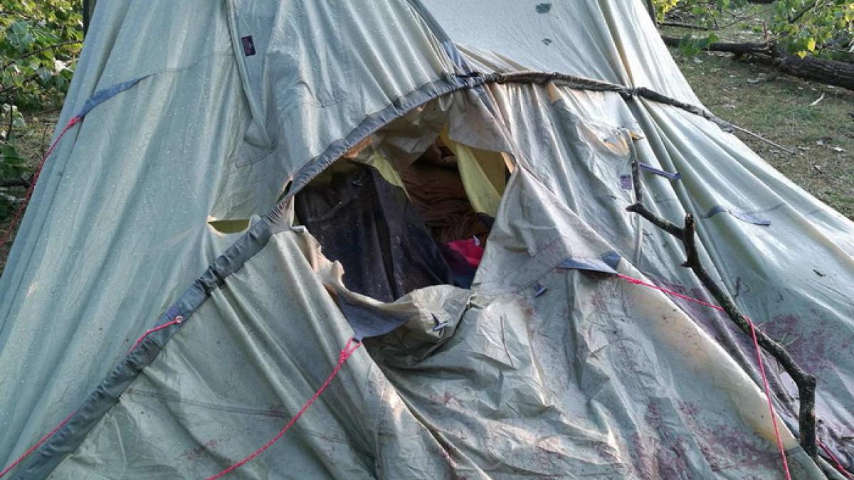 bulz_furtuna2_1_37753300