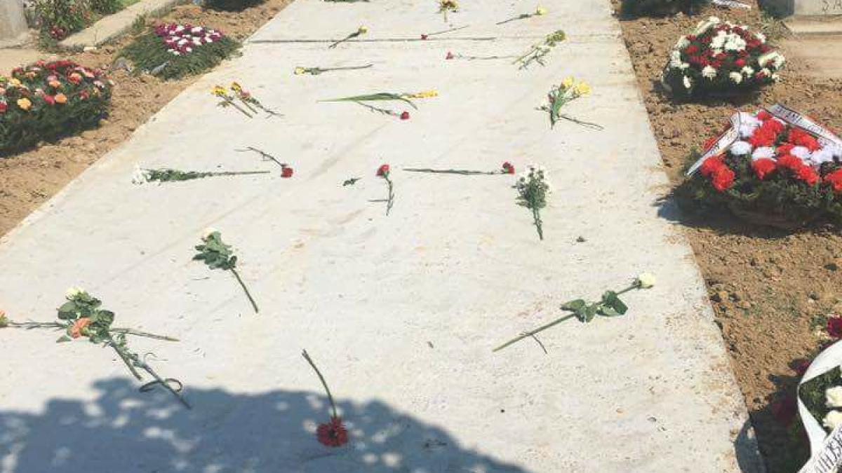 foto_facebook_ileana_sipoteanu_29286100