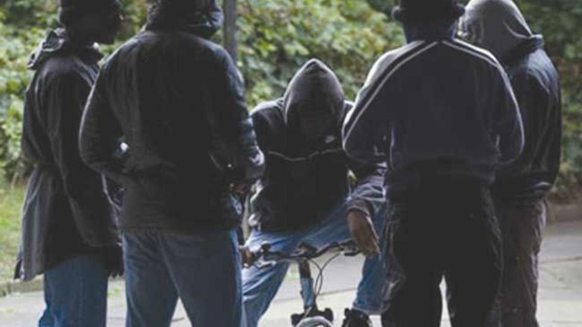 20374412_1850284738622110_8081941720362343998_n_36393900