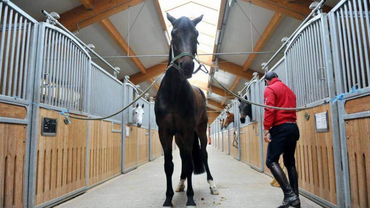 cal_grajd_dcnews_76020100