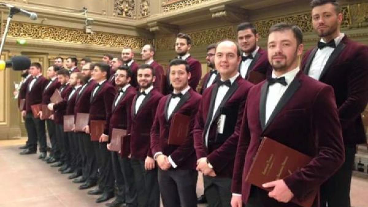 corala_armonia_89148900