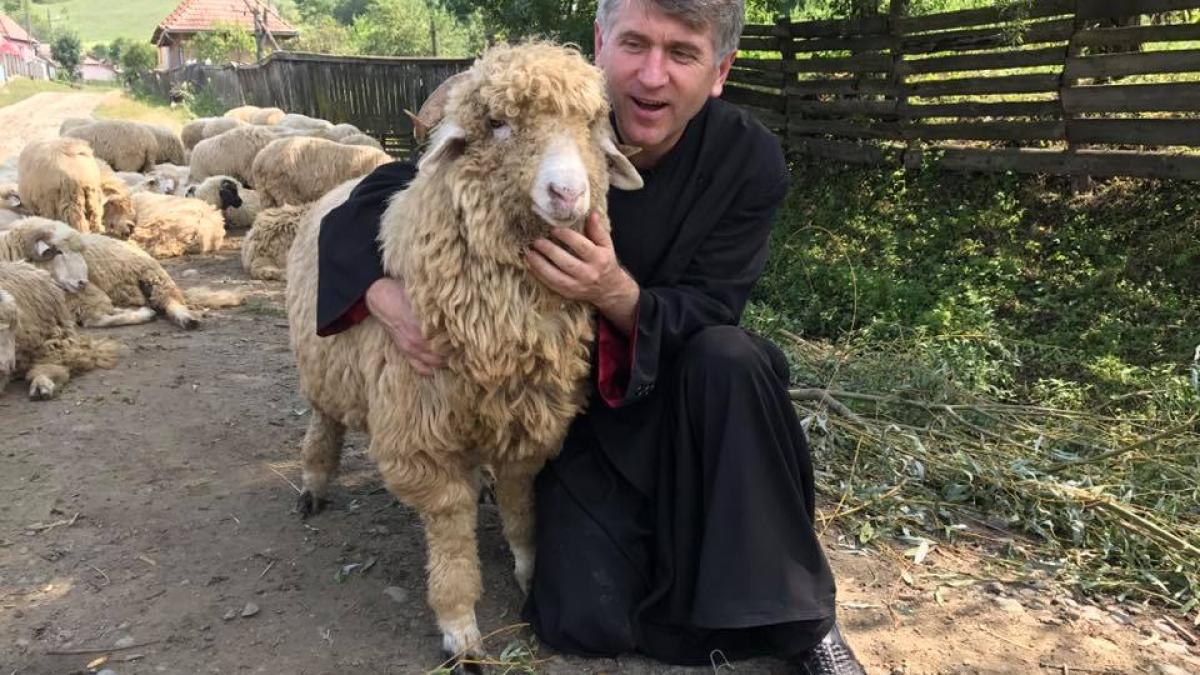 pomohaci_dcnews_64859800