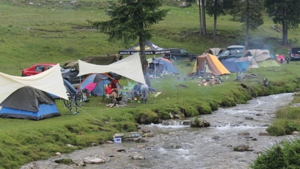 minivacanta_31955100