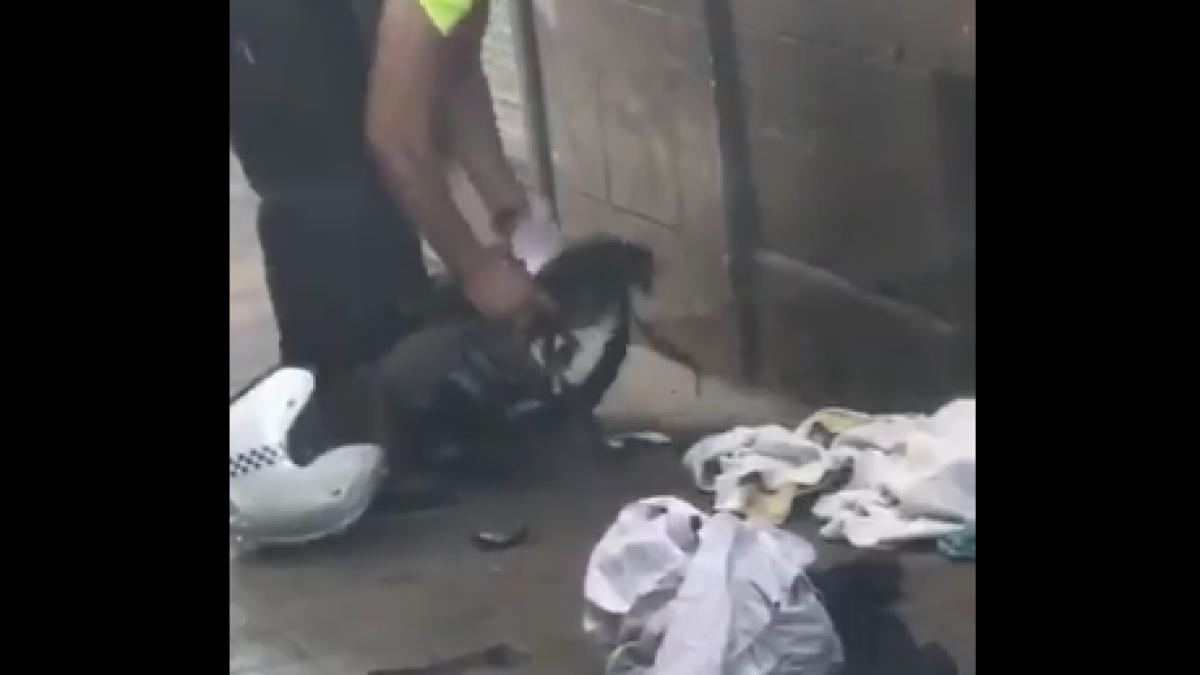 capturaprc-ccprc-86_de_ecran_din_2017_08_17_la_20_30_51_78828500