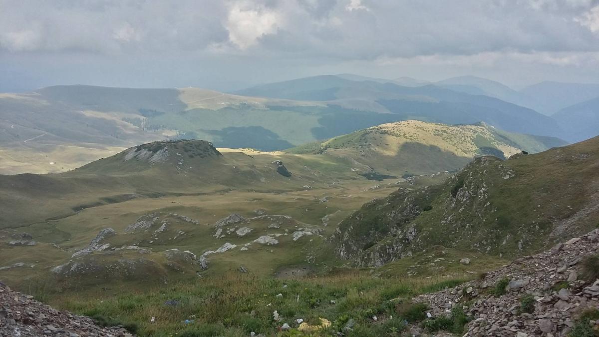 raprc-ccprc-82nca_48190800