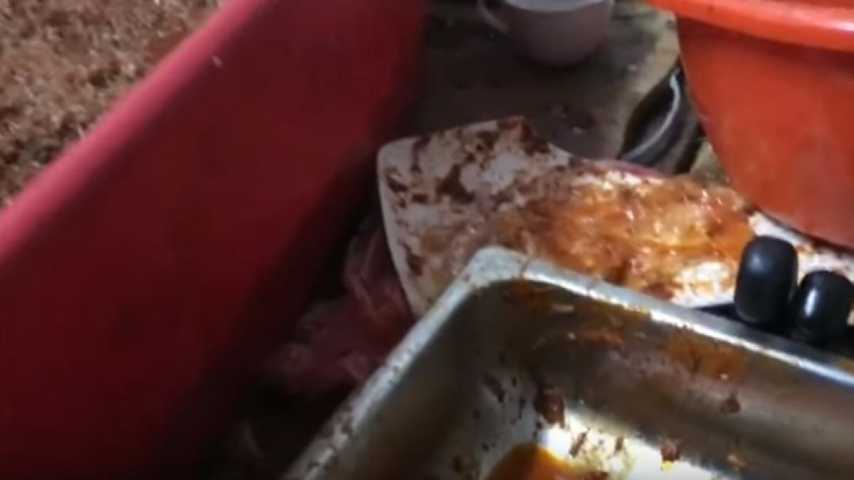 restaurant_constanta_84555200