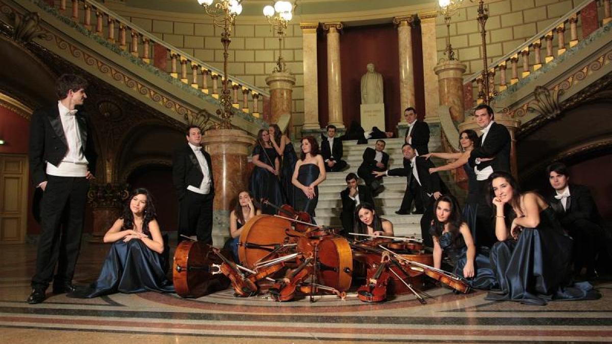 camerata_regala_18668600