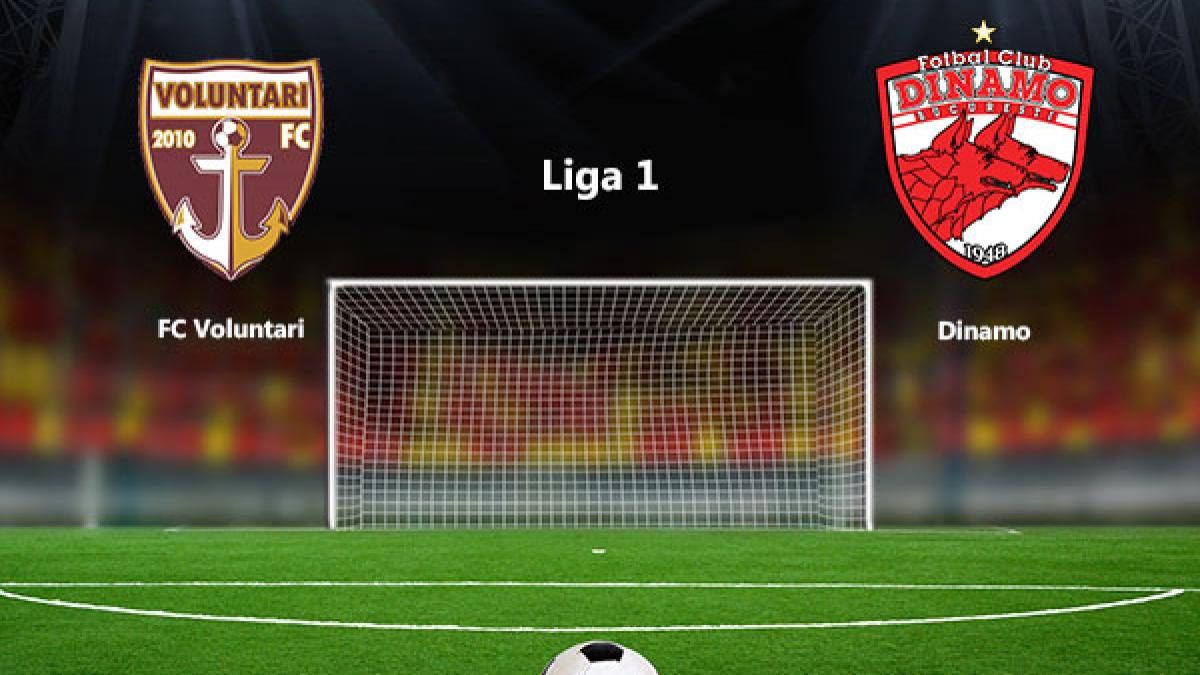 voluntari_dinamo_81159600