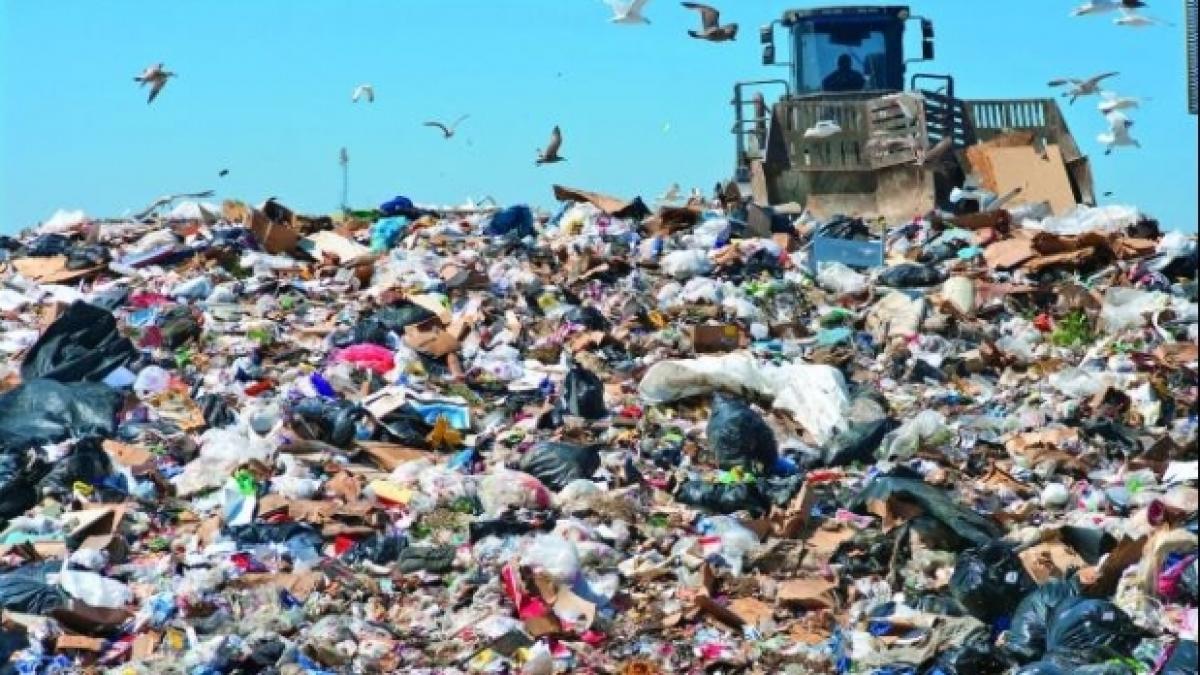 gropi_gunoi_92755500