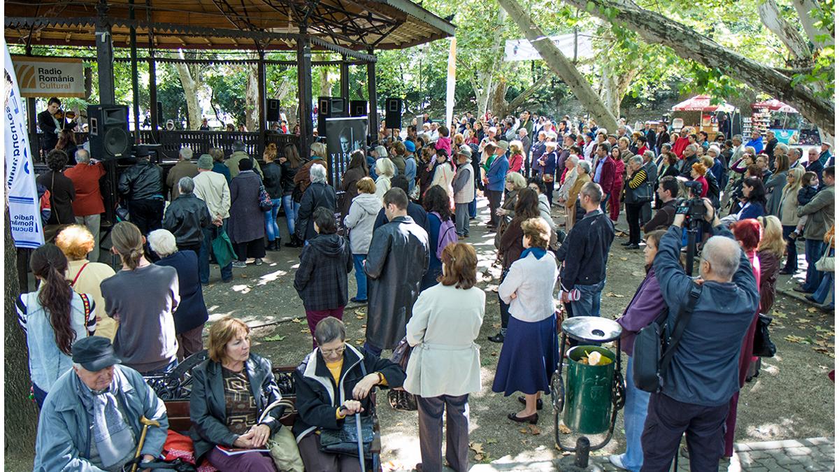 14__vioara_lui_george_enescu_________cismigiu___foto__alexandru_dolea_1_62380500