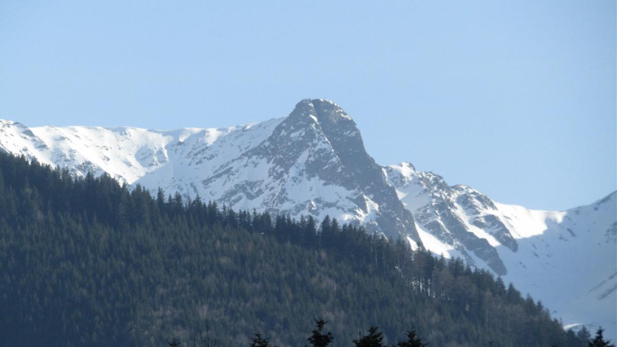 screen_shot_2017_09_12_at_08_47_12_13698500