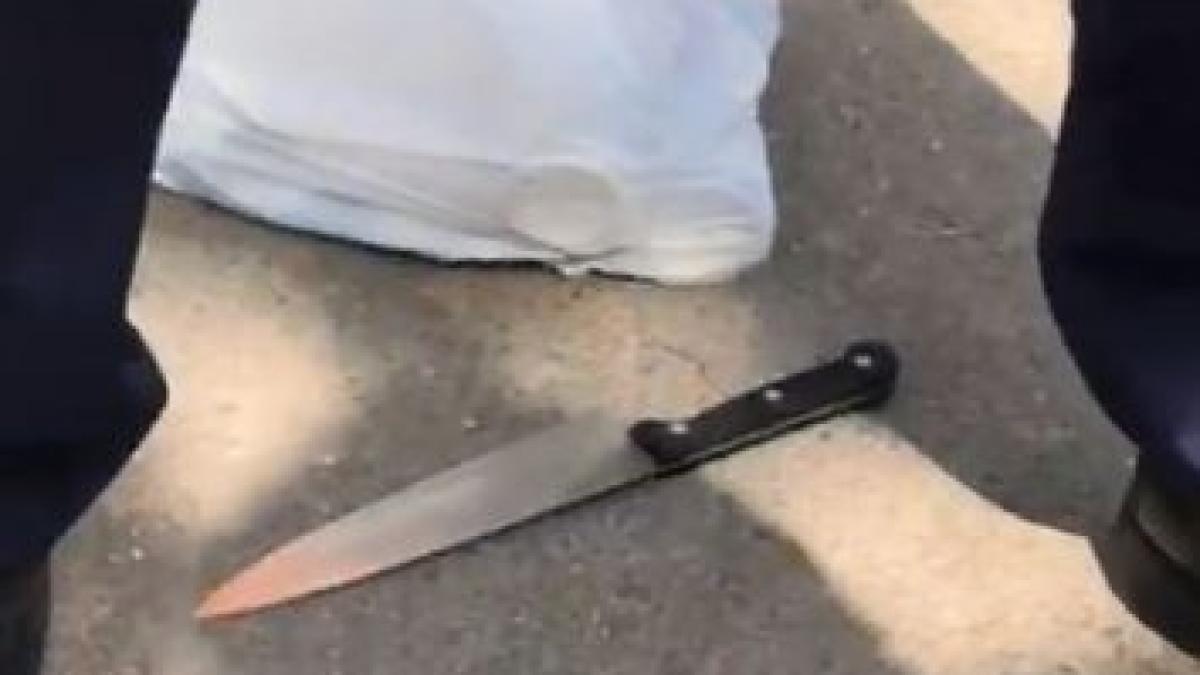 cutit_drumul_taberei_354x620_76425300