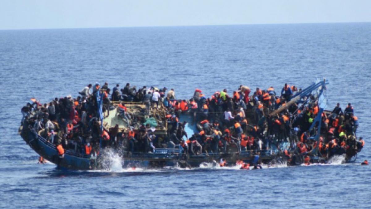 ambarcatiune_95116800