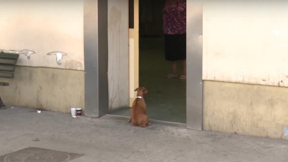 capturaprc-ccprc-86_de_ecran_din_2017_09_22_la_08_43_07_75991000