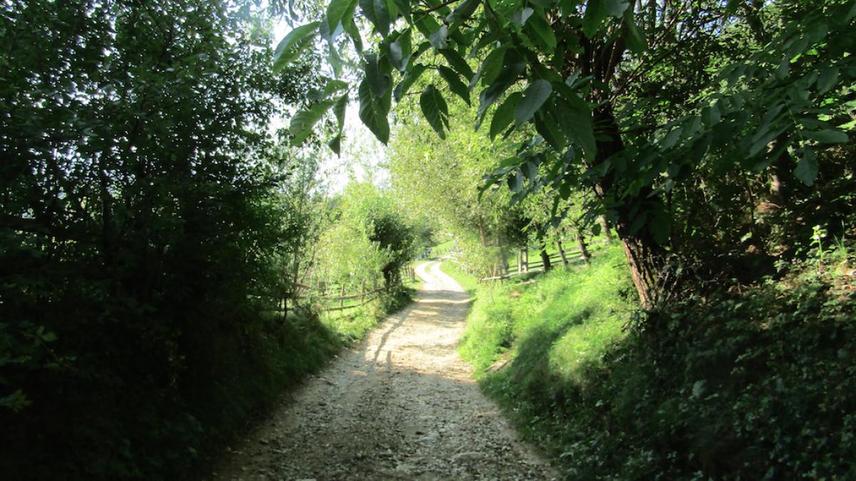 screen_shot_2017_09_24_at_16_00_45_78723700