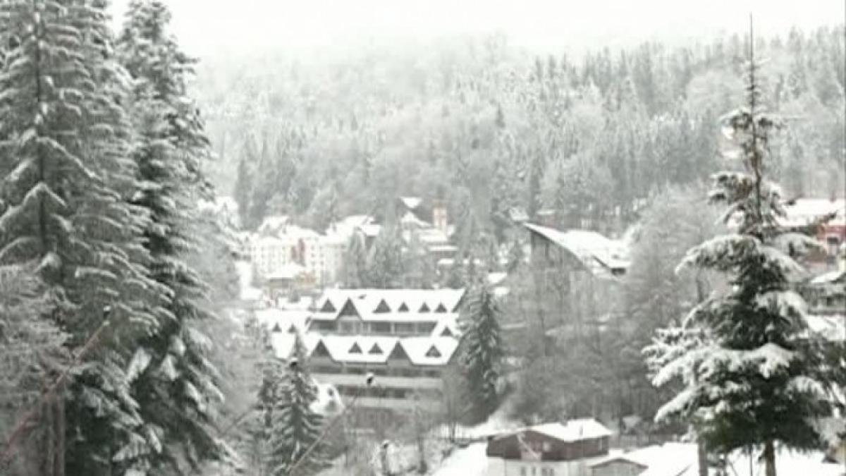 iarna6777_59766200_25505000