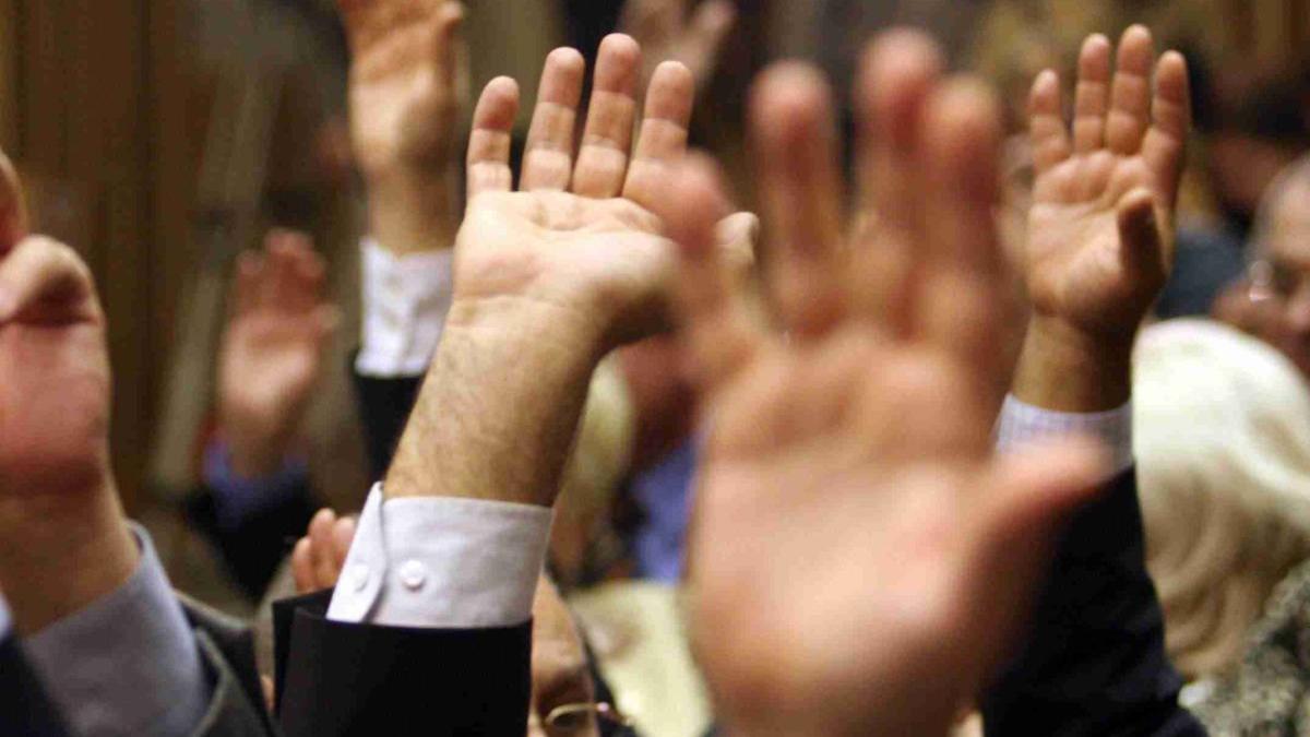 vot_parlament_93879900