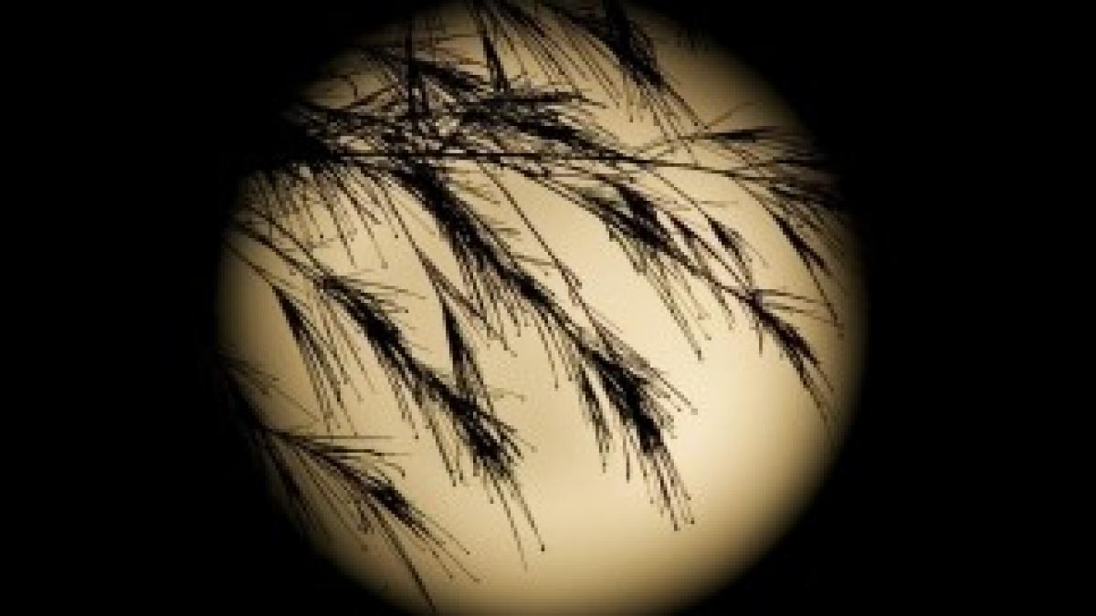 1371909011_388133_1372064754_album_normal