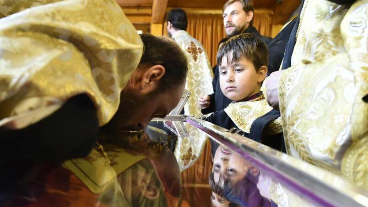 moaste_pupat_09656400