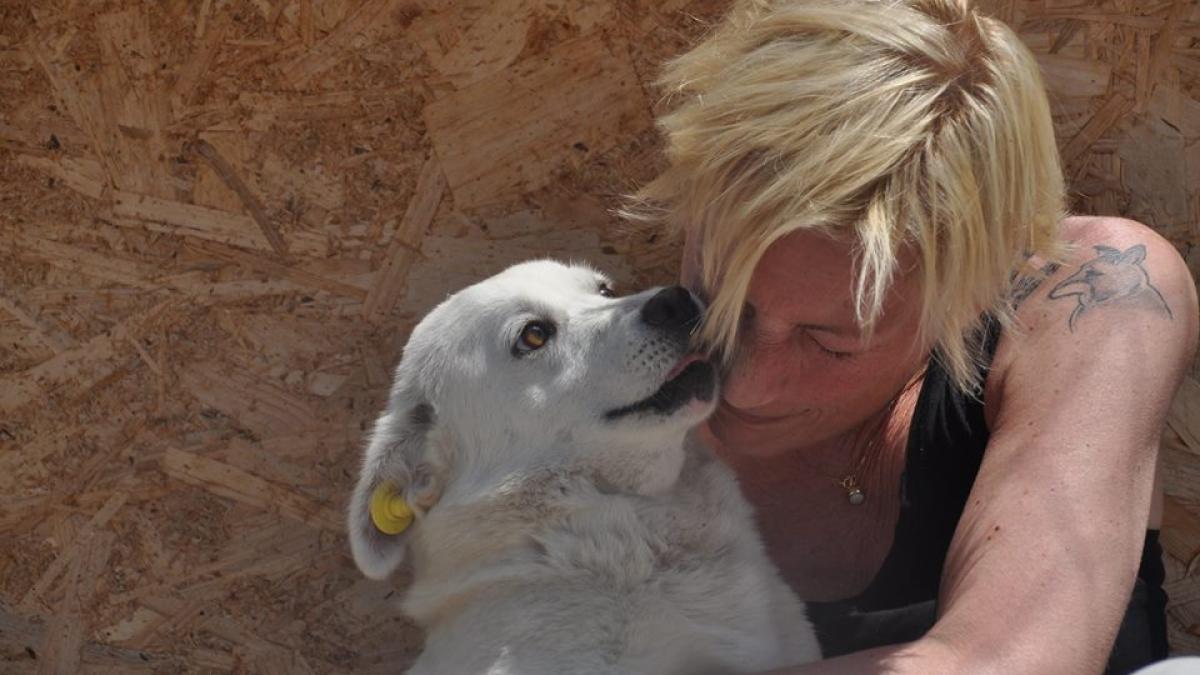 monique_dubbeldam_62861600