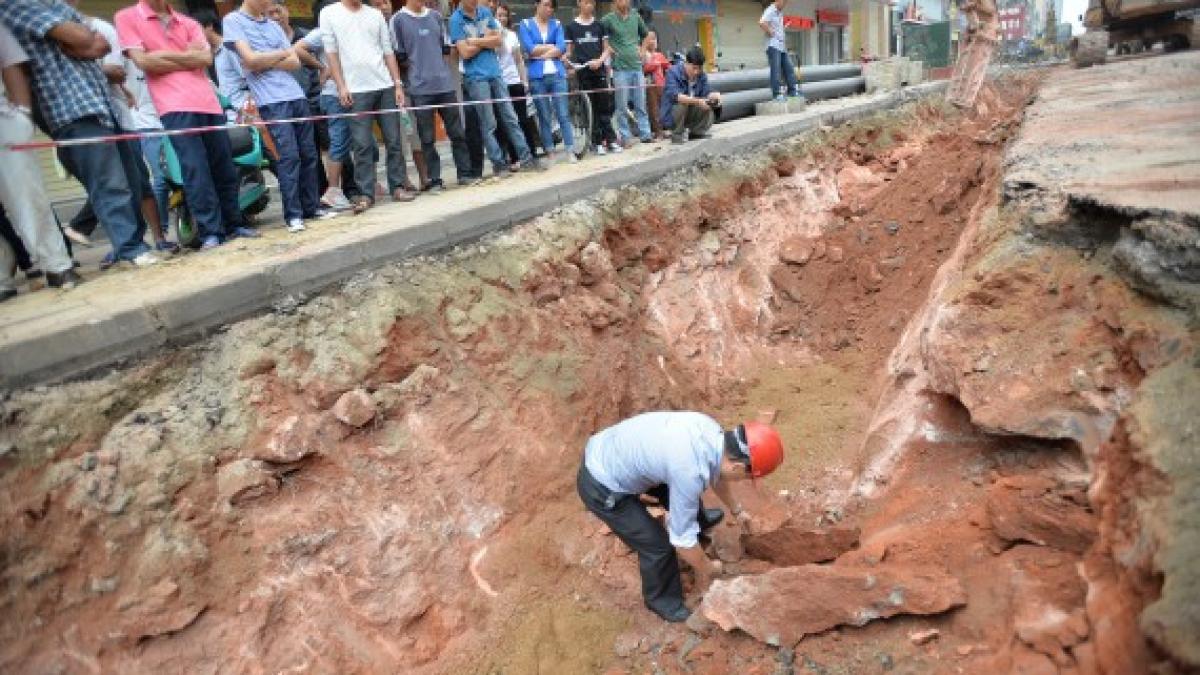 dinozaur_ou3_76877800