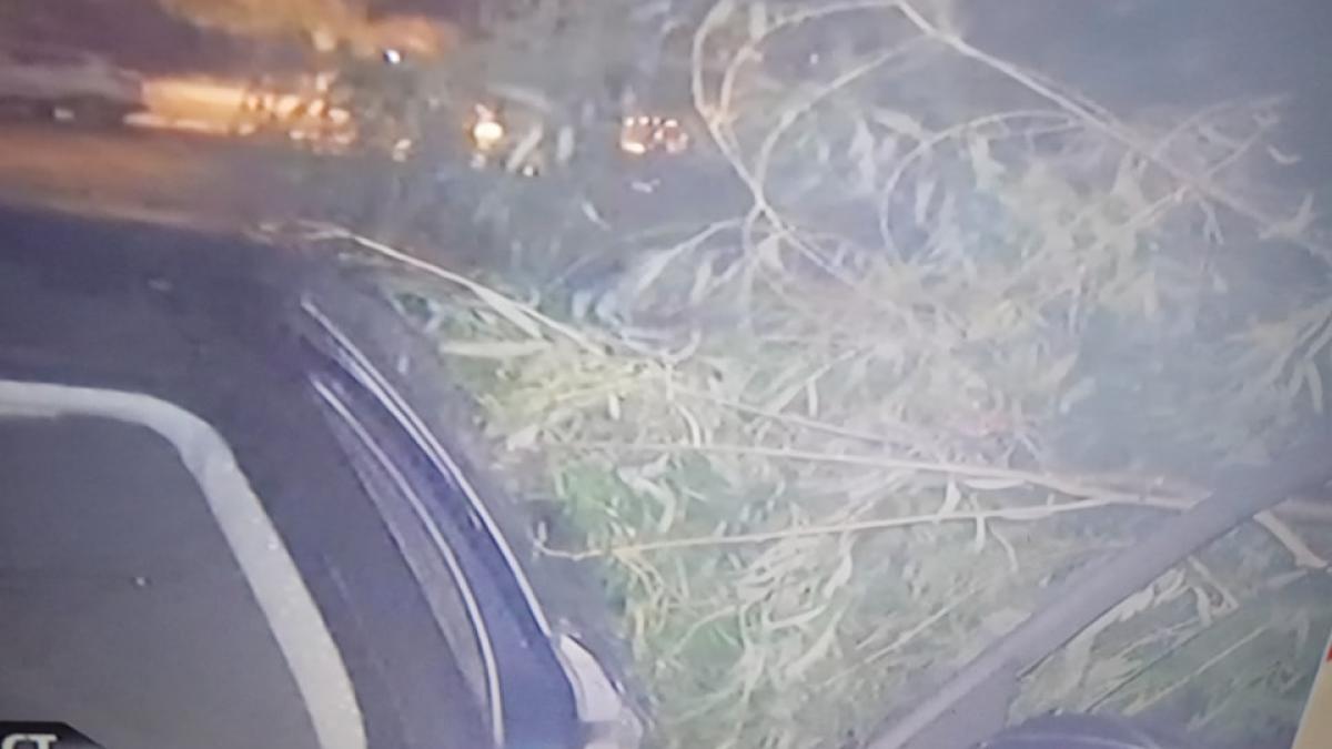 copac_masina_90394100