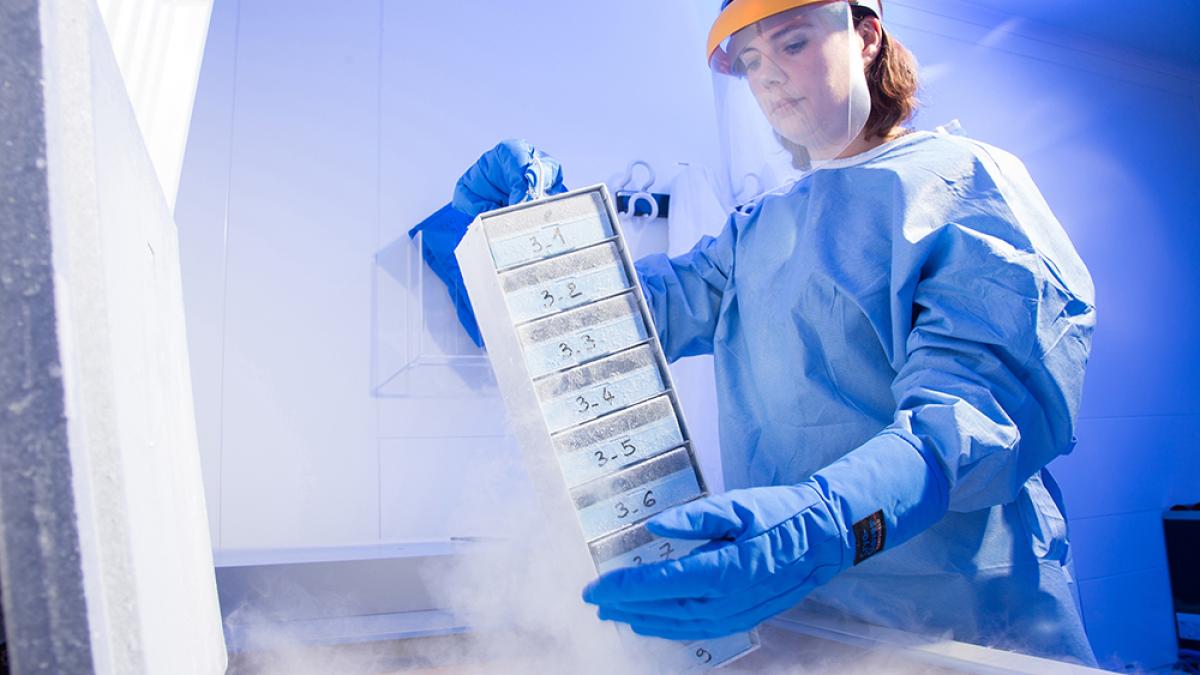 laboratoires_servier_cercetator_laborator_biologie_dcnews_54808500