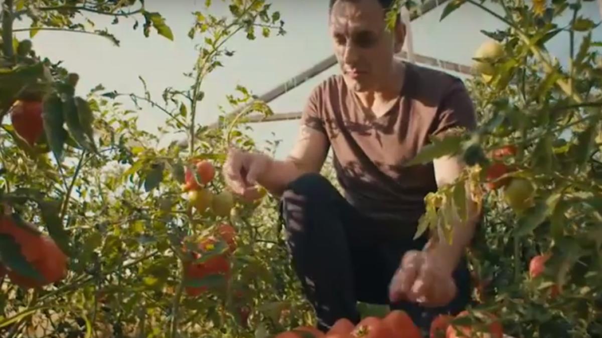 screen_shot_2017_10_26_at_6_54_55_pm_68230900