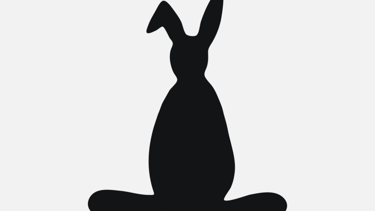 black_rabbit_40996700