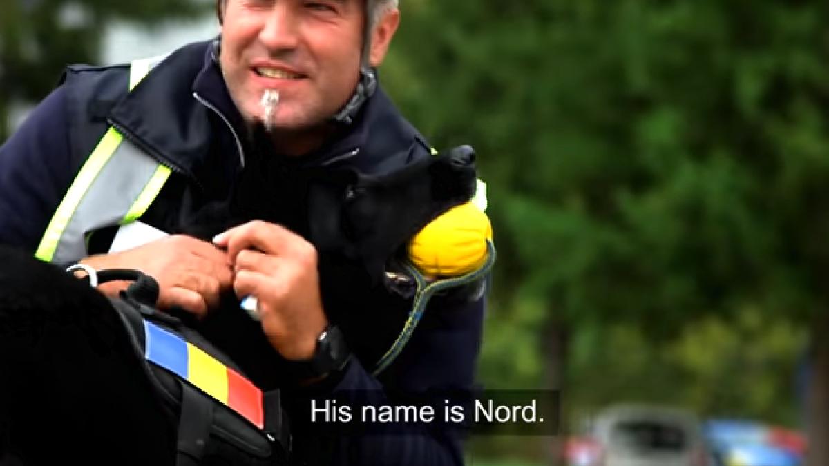 capturaprc-ccprc-86_de_ecran_din_2017_10_28_la_09_29_47_40911000