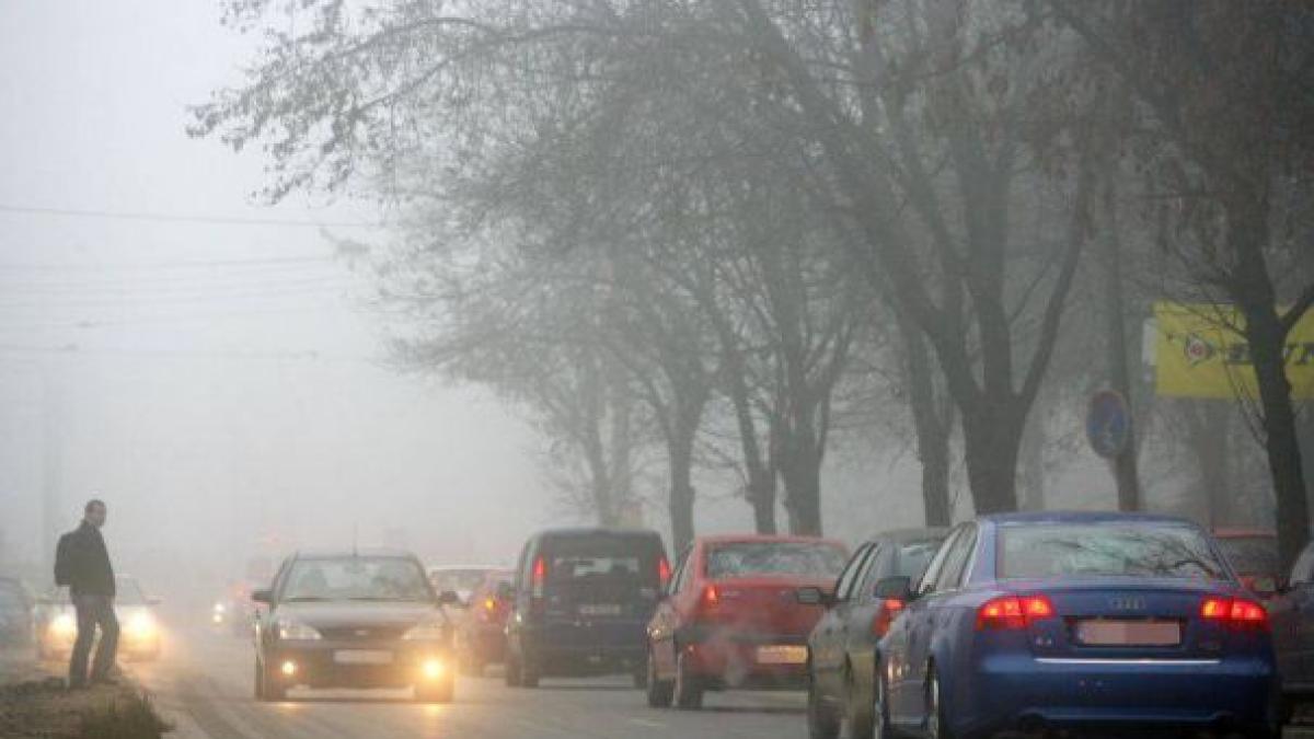 ceata_06_465x390_58683100