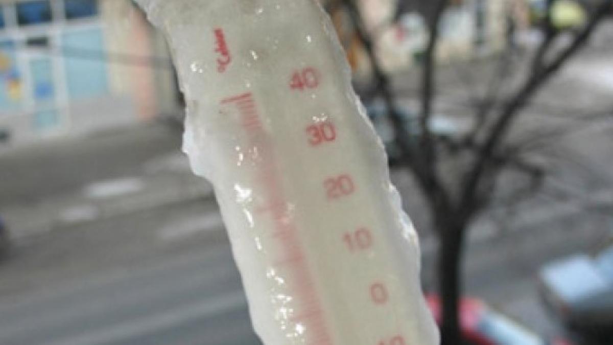 frig1_680x365_56695300