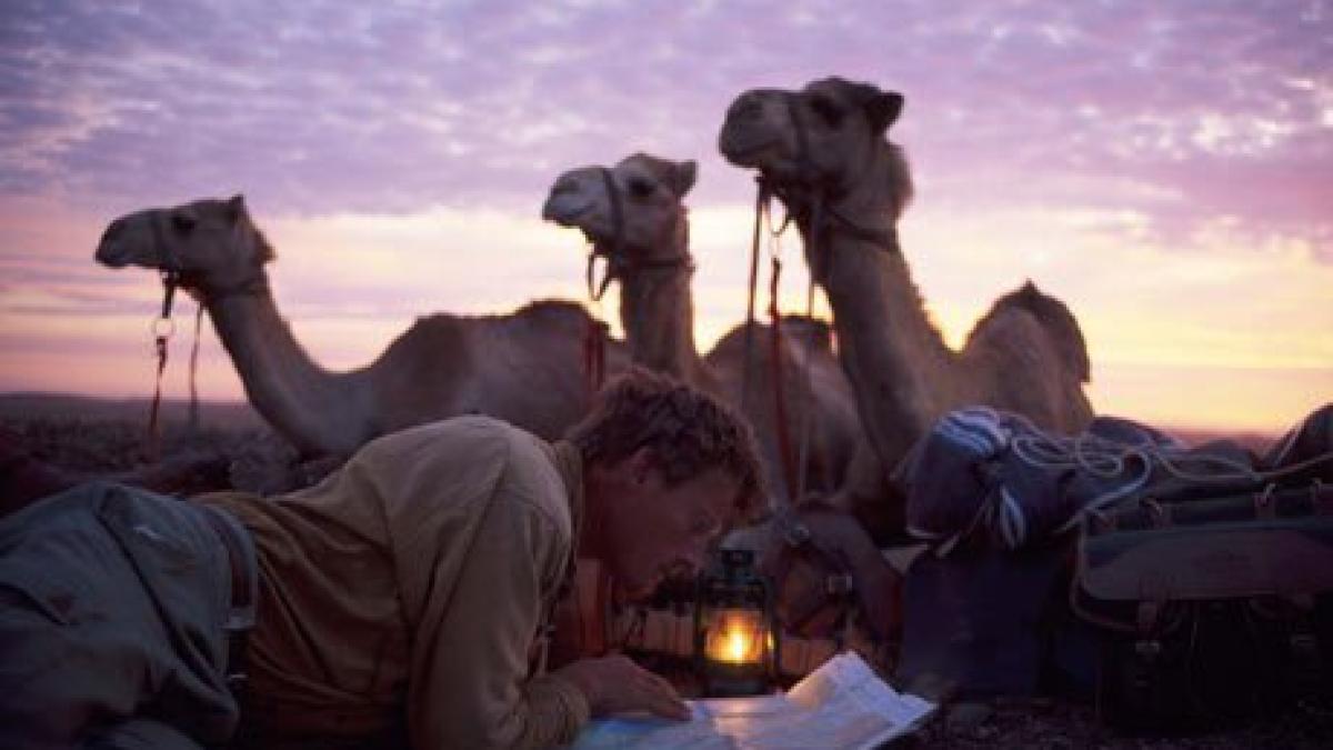 94664290_6b8c_4b46_97fd_aa6e8f0250ce_12208700