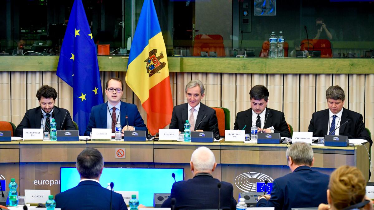 andi_cristea_81846300