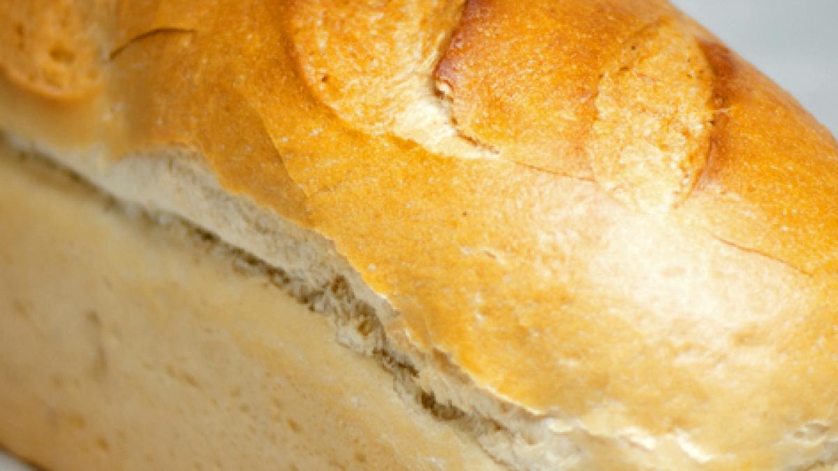 painea_casei_tava_58712700