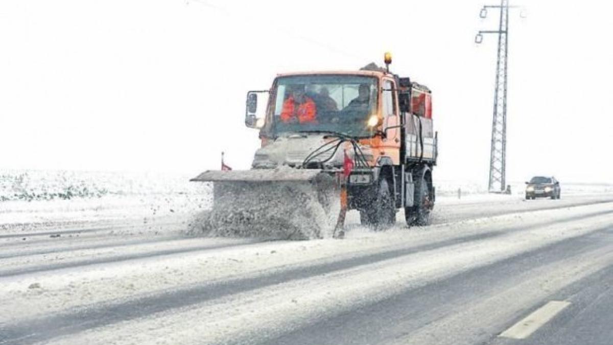 deszapezire_47894700