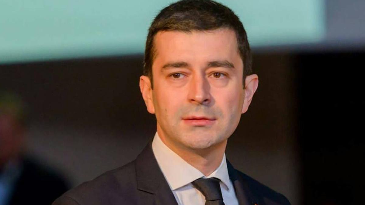 radu_vasilica_deputat_66651500