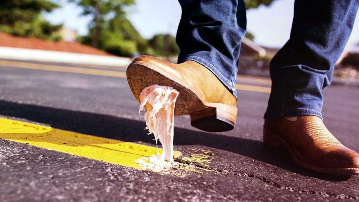 bubble_gum_prostie_60062400