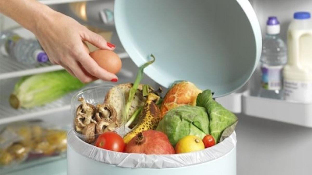 risipa_alimentara_70464900