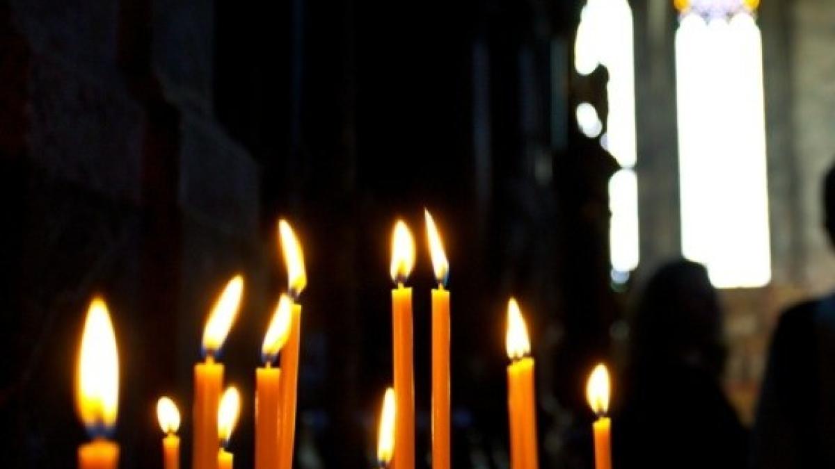 36126_thumb_560_54153900